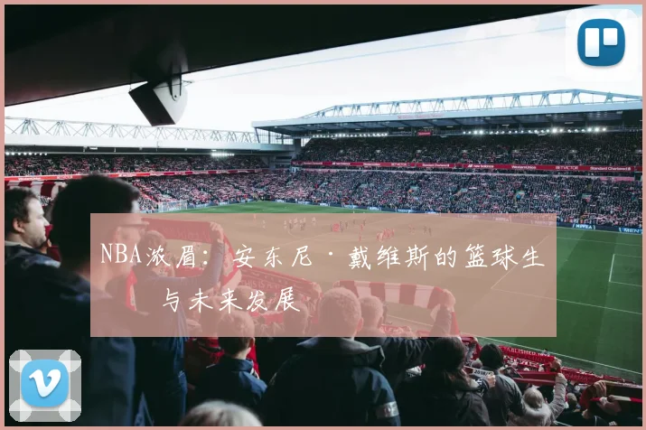 NBA浓眉：安东尼·戴维斯的篮球生涯与未来发展