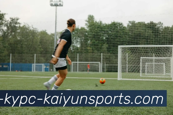 开云体育APP 封面图